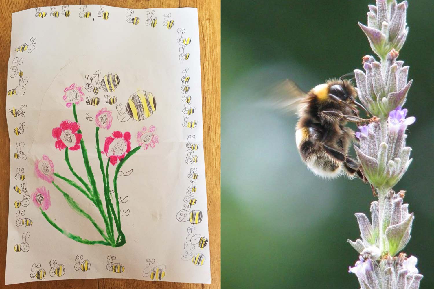 Left: By Mia aged 7. Right: By nature.