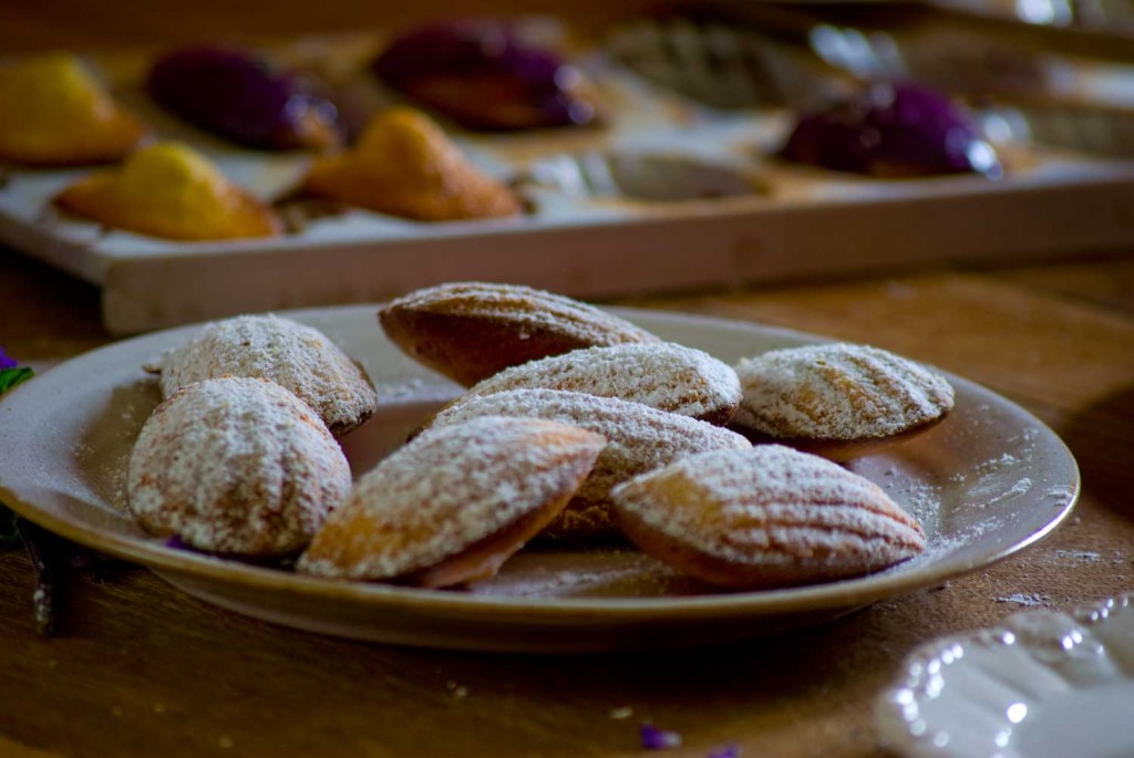 Madeleines: Rose, Honey & Lavender or Vanilla & Lemon - Juanita - MasterChef