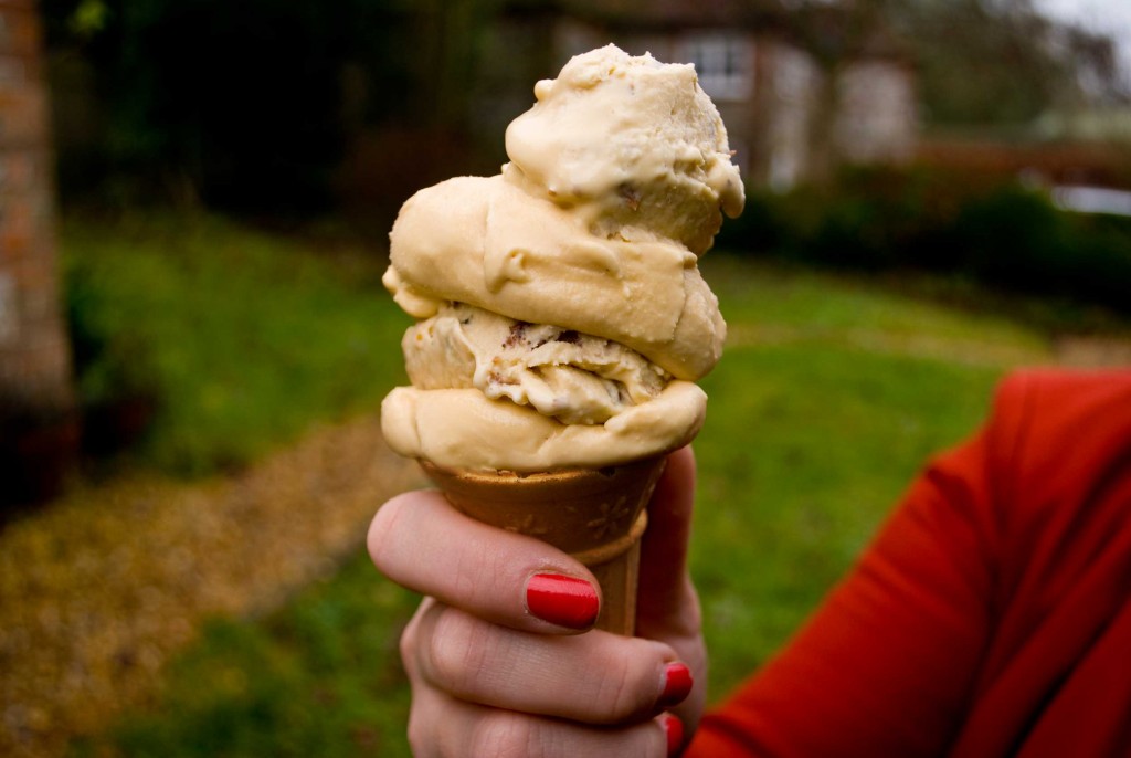 'Christmas cake' ice cream - Juanita - MasterChef
