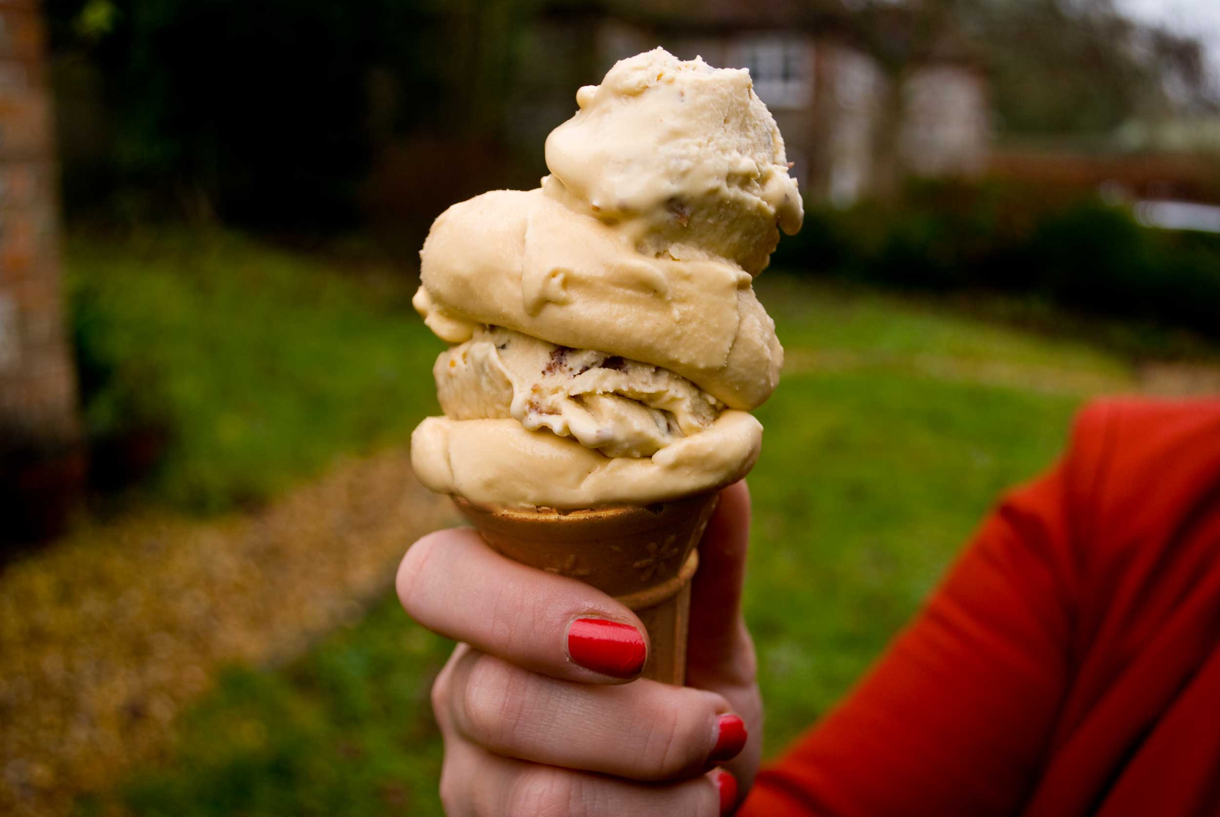 'Christmas cake' ice cream Juanita MasterChef